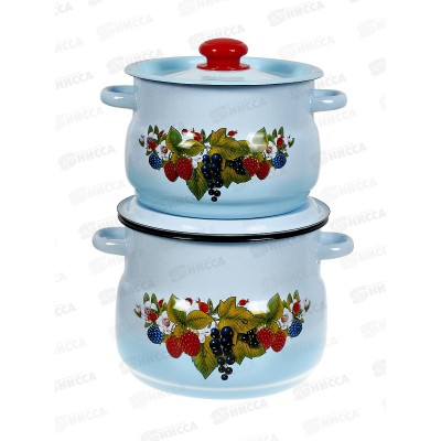 Набор №10 Ягодный чай серо-голубой с голубым тонированием N10CQ02