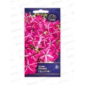 Петуния Беатрис F1(многоцв) (Евро, 5) СеДек *10
