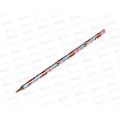 Карандаш чернографитный  LOREX Forever HB, пластик LXLPWF-FAE  *1/48