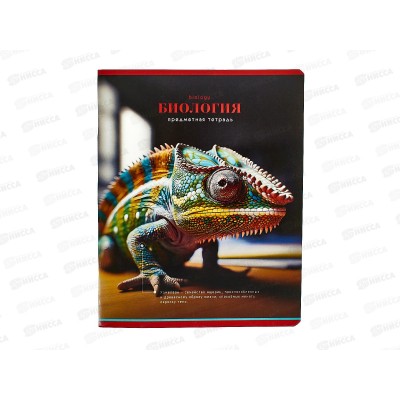 Тетрадь 40листов клетка BG "Фотосфера-биолгоия", 12827*10/60 Тетрадь 40листов клетка BG "Фотосфера-биолгоия", 12827*10/60