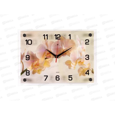 Часы настенные "21 Век" 2535-304 Орхидея Рубин Часы настенные "21 Век" 2535-304 Орхидея Рубин