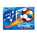 Альбом для рисования 12л ПГС Футбол, офс. *40