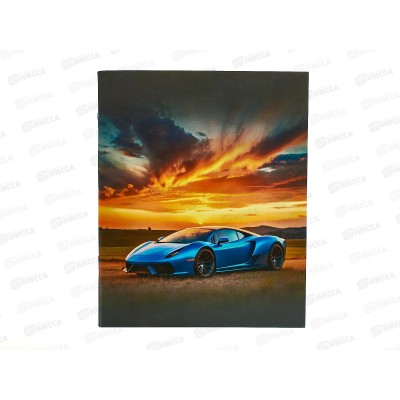 Тетрадь 48листов клетка ЭКСМ  Жажда скорости, ТК489129 *10/100