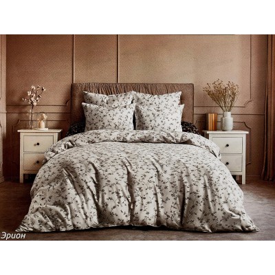 Комплект постельного белья 2,0сп с евро простыней Поплин 120гр НН Эрион 21308-1+21309-1 70*70*2