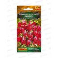 Львиный зев Кимоси алый карликовый *10 АЭЛИТА Львиный зев Кимоси алый карликовый *10 АЭЛИТА