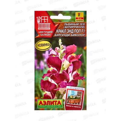 Львиный зев Кракл энд поп F1бургунди биколор *10 АЭЛИТА + Львиный зев Кракл энд поп F1бургунди биколор *10 АЭЛИТА +