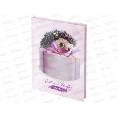 Блокнот 80л BRAU А6 тв.кл. Ёжик,114442 *20 Блокнот 80л BRAU А6 тв.кл. Ёжик,114442 *20