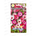Мезембриантемум 0,1г *10 АРТ + Мезембриантемум 0,1г *10 АРТ +