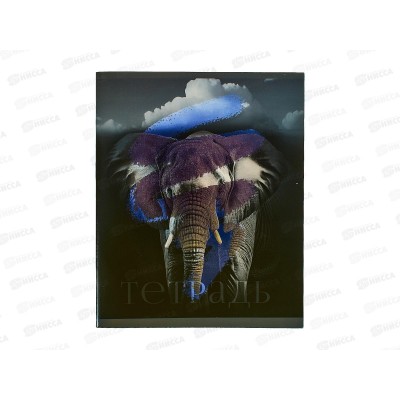 Тетрадь 48листов клетка ЭКСМ В мире диких зверей, ТКФ2Л488733 *10/100 Тетрадь 48листов клетка ЭКСМ В мире диких зверей, ТКФ2Л488733 *10/100