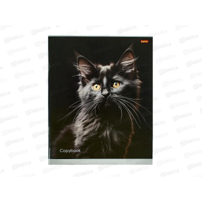 Тетрадь 36л клетка Remix Портретное фото кота, второй блок, 36-5766 *120 Тетрадь 36л клетка Remix Портретное фото кота, второй блок, 36-5766 *120