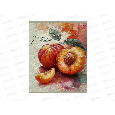 Тетрадь 96л клетка Profit Фруктово-ягодная акварель, мел., 96-9523 *6/48 Тетрадь 96л клетка Profit Фруктово-ягодная акварель, мел., 96-9523 *6/48