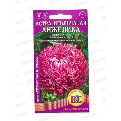 Астра Анжелика игольчатая (0,2гр) ДемСиб - *10 Астра Анжелика игольчатая (0,2гр) ДемСиб - *10