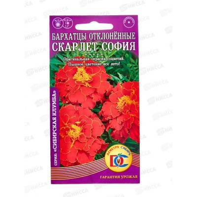 Бархатцы Скарлет София откл махр (0,2гр) ДемСиб *10 Бархатцы Скарлет София откл махр (0,2гр) ДемСиб *10