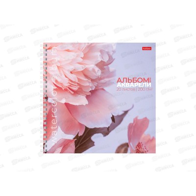 Альбом д/рис. акварелью 20л Hatber Розовые лепестки,29975*6/30 Альбом д/рис. акварелью 20л Hatber Розовые лепестки,29975*6/30