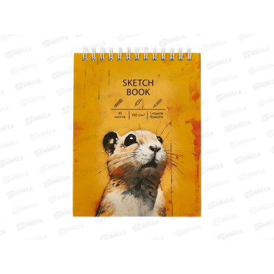 Скетчбук ЭКСМ 40л А6+ Суслик, ТС6405440 *8 Скетчбук ЭКСМ 40л А6+ Суслик, ТС6405440 *8