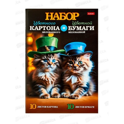 Цв.карт.+бум. Hatber А4 20л10цв+10цв,Пушистые друзья 31111*20 Цв.карт.+бум. Hatber А4 20л10цв+10цв,Пушистые друзья 31111*20