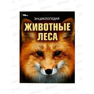 Энциклопедия 09108-0 Умка: Животные леса, 197х255мм, 48стр. *15