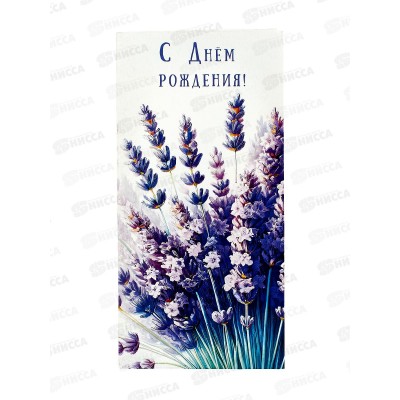 Конверт АД С Днем Рождения 0319.898