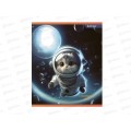 Тетрадь 48л кл. Alingar Cosmonaut cat AL10842 *8/96
