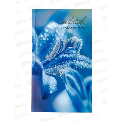 Кн.тел. Апплика 80л лин. А5 Лилия С0272-73 Кн.тел. Апплика 80л лин. А5 Лилия С0272-73