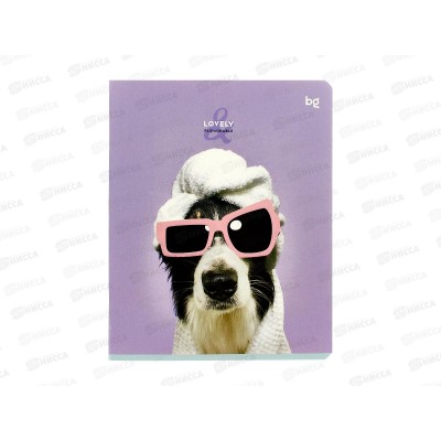 Тетрадь 48л лин. BG Lovely ., 60316 *4/56 Тетрадь 48л лин. BG Lovely ., 60316 *4/56