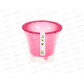 Горшок д/цветов Ванда 2л Малиновый-прозрачный (с вкладкой) d17 h15 *10 Горшок д/цветов Ванда 2л Малиновый-прозрачный (с вкладкой) d17 h15 *10