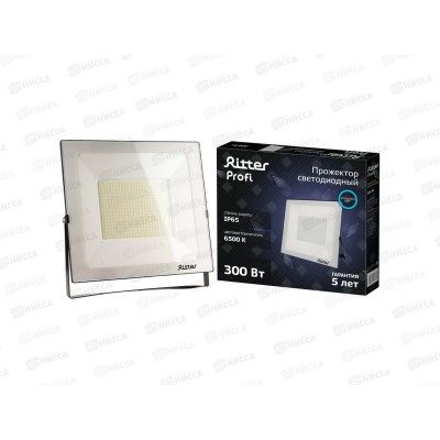 Прожектор светодиодный Ritter PROFI, 230В, 300Вт, 6500К, 30000Лм, IP65, черный, 53413 Прожектор светодиодный Ritter PROFI, 230В, 300Вт, 6500К, 30000Лм, IP65, черный, 53413