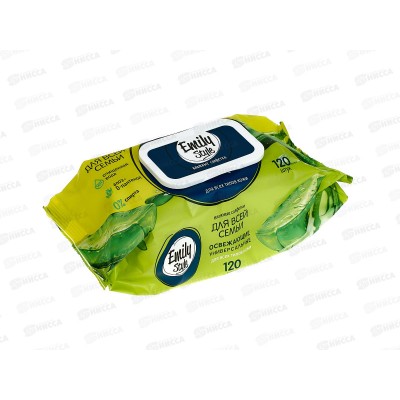 Emily Style Влажные салфетки 120шт Для всей семьи с крышкой С0008171 *14 Emily Style Влажные салфетки 120шт Для всей семьи с крышкой С0008171 *14