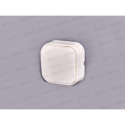 Выключатель IONICH 1-клавиша открытая установка, 10А, 220В белый,1411 *10