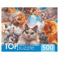 ПАЗ 500эл. TOPpuzzle, Ф500-7728 Необычное селфи котов  *10