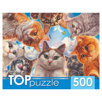 ПАЗ 500эл. TOPpuzzle, Ф500-7728 Необычное селфи котов  *10