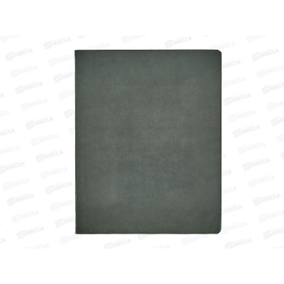 Тетрадь 48л кл. АКАД Графит EAC-14059 *20/60 Тетрадь 48л кл. АКАД Графит EAC-14059 *20/60