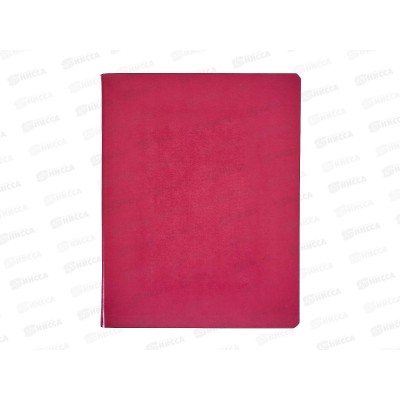 Тетрадь 96л кл. АКАД Viva Magenta 13990-ЕАС *20 Тетрадь 96л кл. АКАД Viva Magenta 13990-ЕАС *20