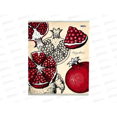 Тетрадь 48л клетка Legend Нарисованные фрукты, 4 диз., 48-3899 *80