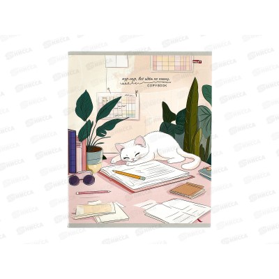 Тетрадь 48л клетка Profit Домашние котики - 1, мел., 48-3796 *100 Тетрадь 48л клетка Profit Домашние котики - 1, мел., 48-3796 *100