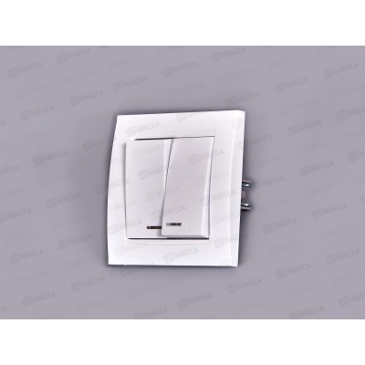 Выключатель Бриллиант 2-клавиши скрытой установки, 10А, 220В, подсветка, белый,7947410*10