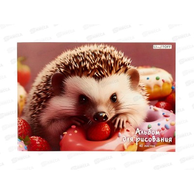 Альбом д/рис.40л ЭКСМ Ежик и сладости, склейка А402497 *40 Альбом д/рис.40л ЭКСМ Ежик и сладости, склейка А402497 *40
