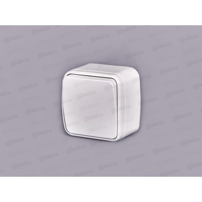 Выключатель СОЮЗ 1-клавиша  Электра, открытой установки, 10А, 220В, белый, 0001*10