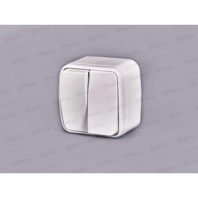 Выключатель СОЮЗ2-клавиши  Электра, открытой установки, 10А, 220В, белый,0031*10