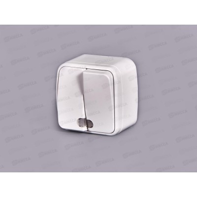 Выключатель СОЮЗ 2-клавиши  Электра, открытой установки, 10А, 220В, подсветка, белый,0030*10