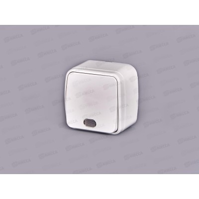 Выключатель СОЮЗ 1-клавиша  Электра, открытой установки, 10А, 220В, подсветка, белый,0019*10