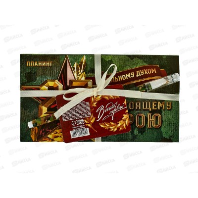 Набор под "Сильному духом" (планинг+ручка) 10019494 Набор под "Сильному духом" (планинг+ручка) 10019494