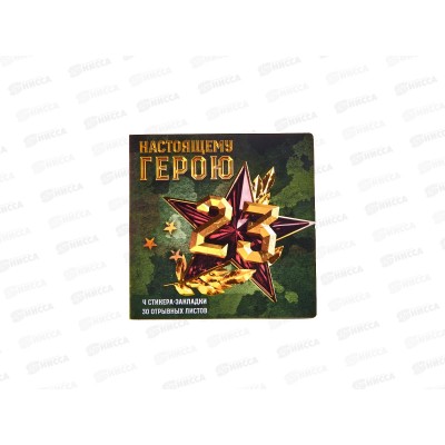 Набор под. &quotНастоящему герою&quot (стикеры 4*20л+блок 30л) 9868567