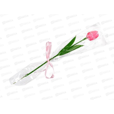 Мыльный тюльпан фуксия на стебле 9333108