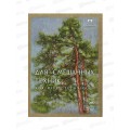 Папка для смешанных техник Сосны А-3 св-корич 200г/м2 15л *20
