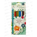 Карандаши 12цв Fine Line Special,  BFP-12FR/S  *12 Карандаши 12цв Fine Line Special,  BFP-12FR/S  *12