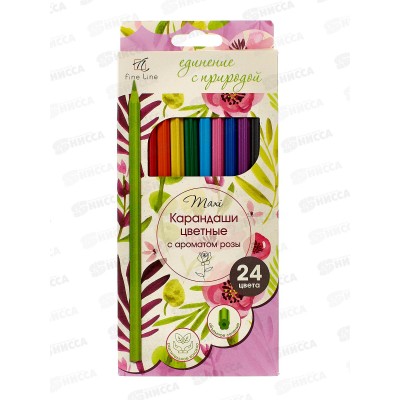 Карандаши 24цв Fine Line Maxi, BFP-24FR *6 Карандаши 24цв Fine Line Maxi, BFP-24FR *6
