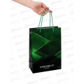 Пакет подарочный MI 22х31х10см Green present, ПКП-9155 *12