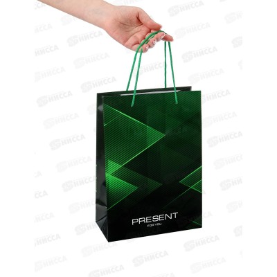 Пакет подарочный MI 22х31х10см Green present, ПКП-9155 *12