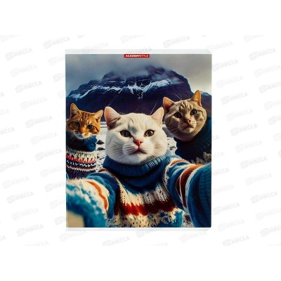 Тетрадь 48л кл. АКАД Селфи EAC-14060/5 *20/60